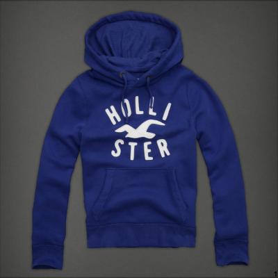 Hollister Men Hoodies-47